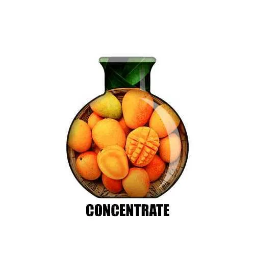 Congo Bongo Concentrate