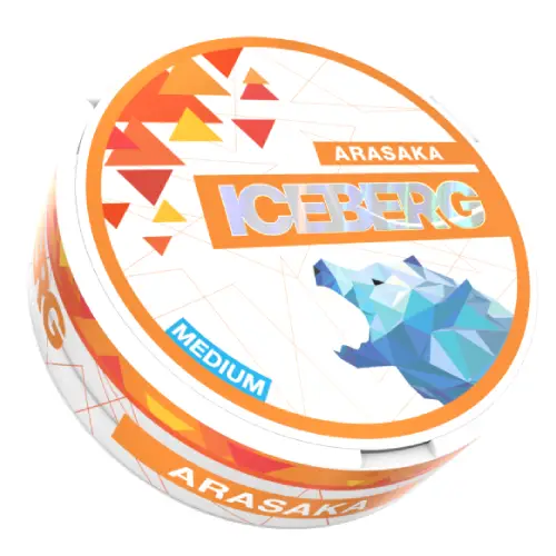 Iceberg Arasaka
